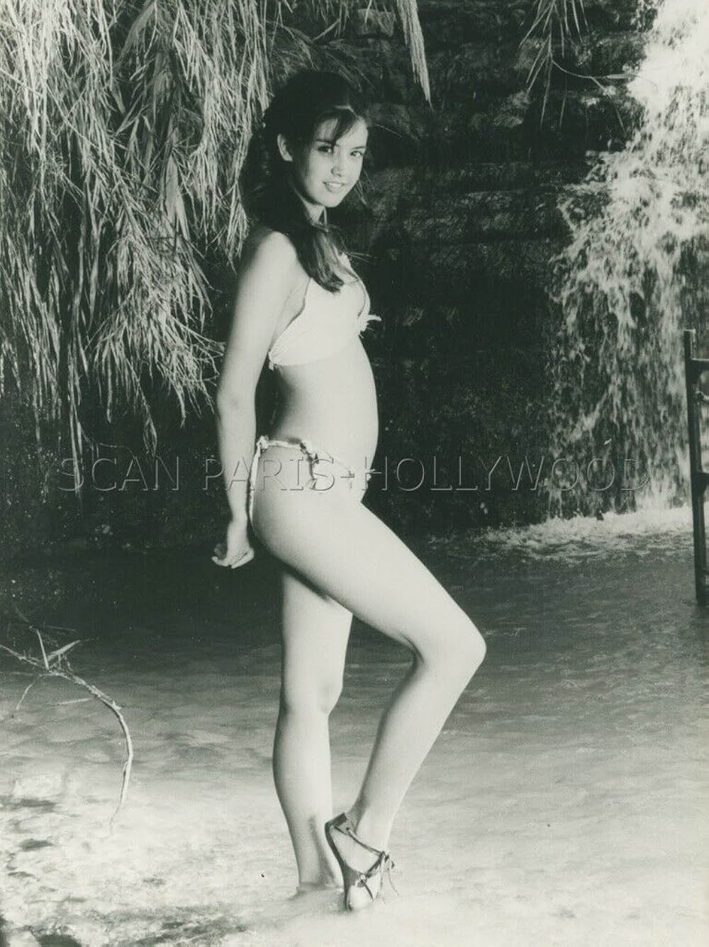 パラダイスの画像