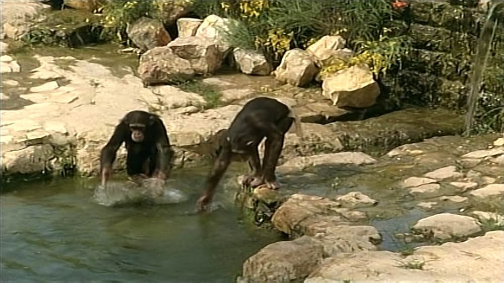 パラダイスの画像