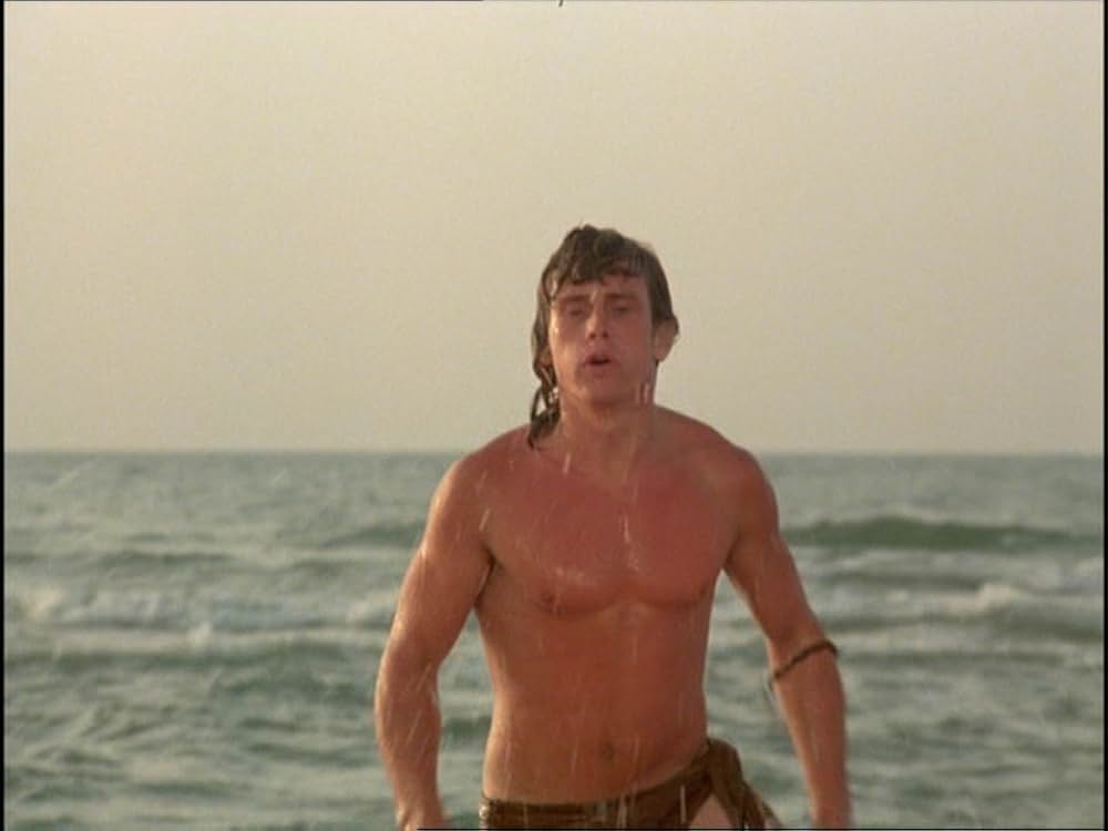 パラダイスの画像