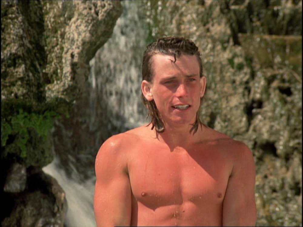 パラダイスの画像