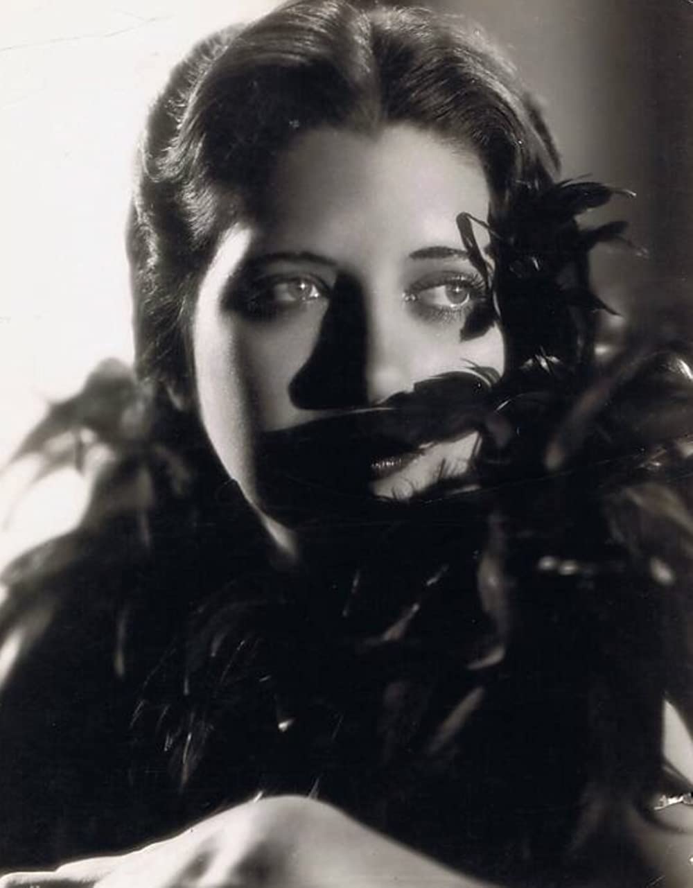 極楽特急の画像