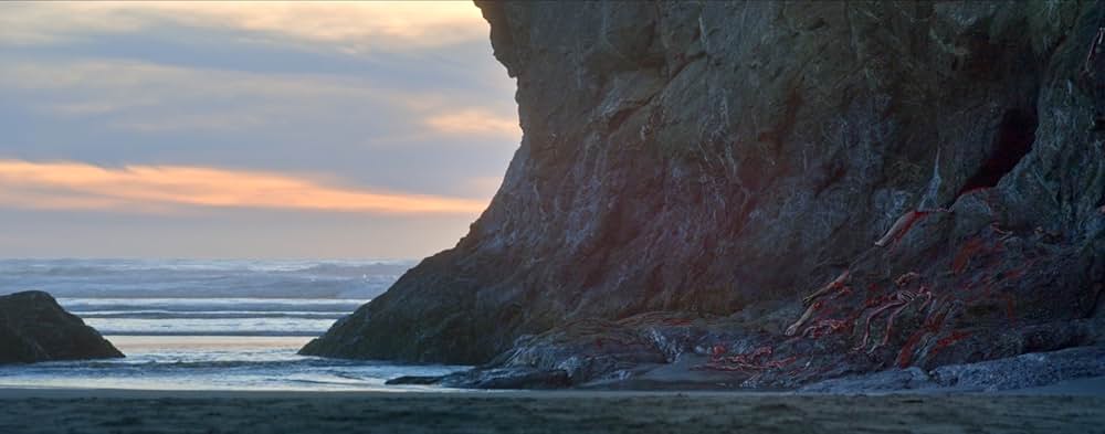 キラーカブトガニの画像