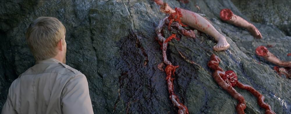 キラーカブトガニの画像