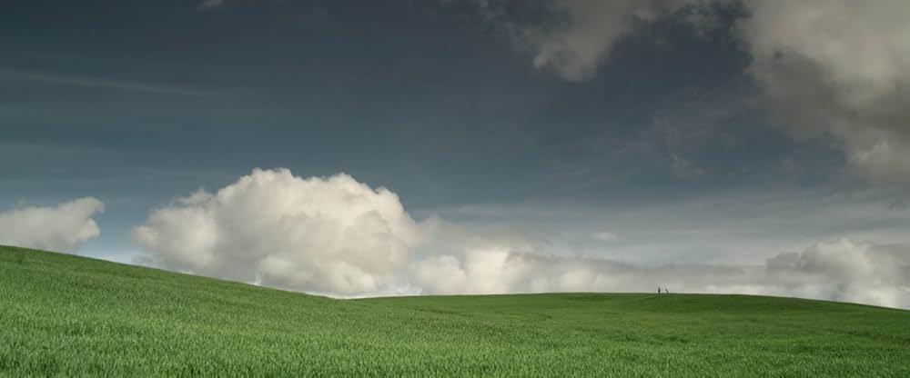 GREEN GRASS～生まれかわる命～の画像