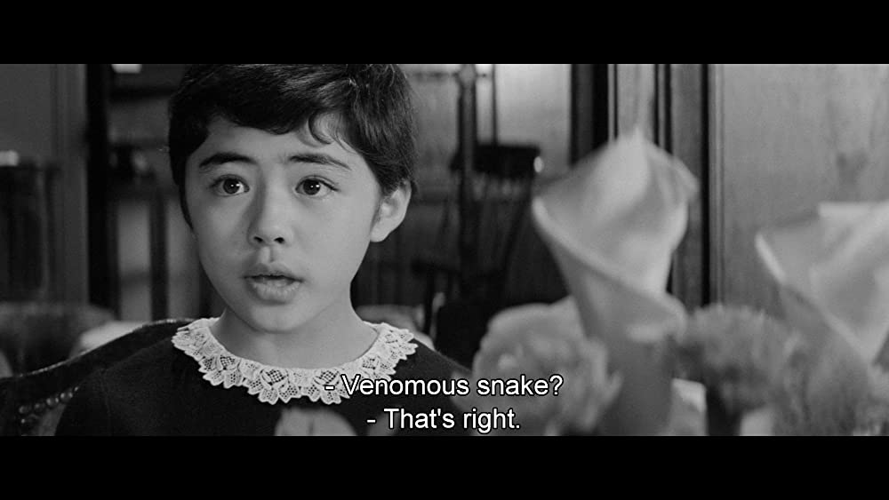 蛇娘と白髪魔の画像