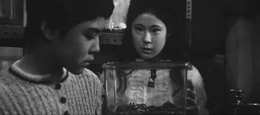 蛇娘と白髪魔の画像