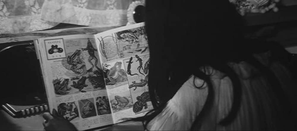 蛇娘と白髪魔の画像