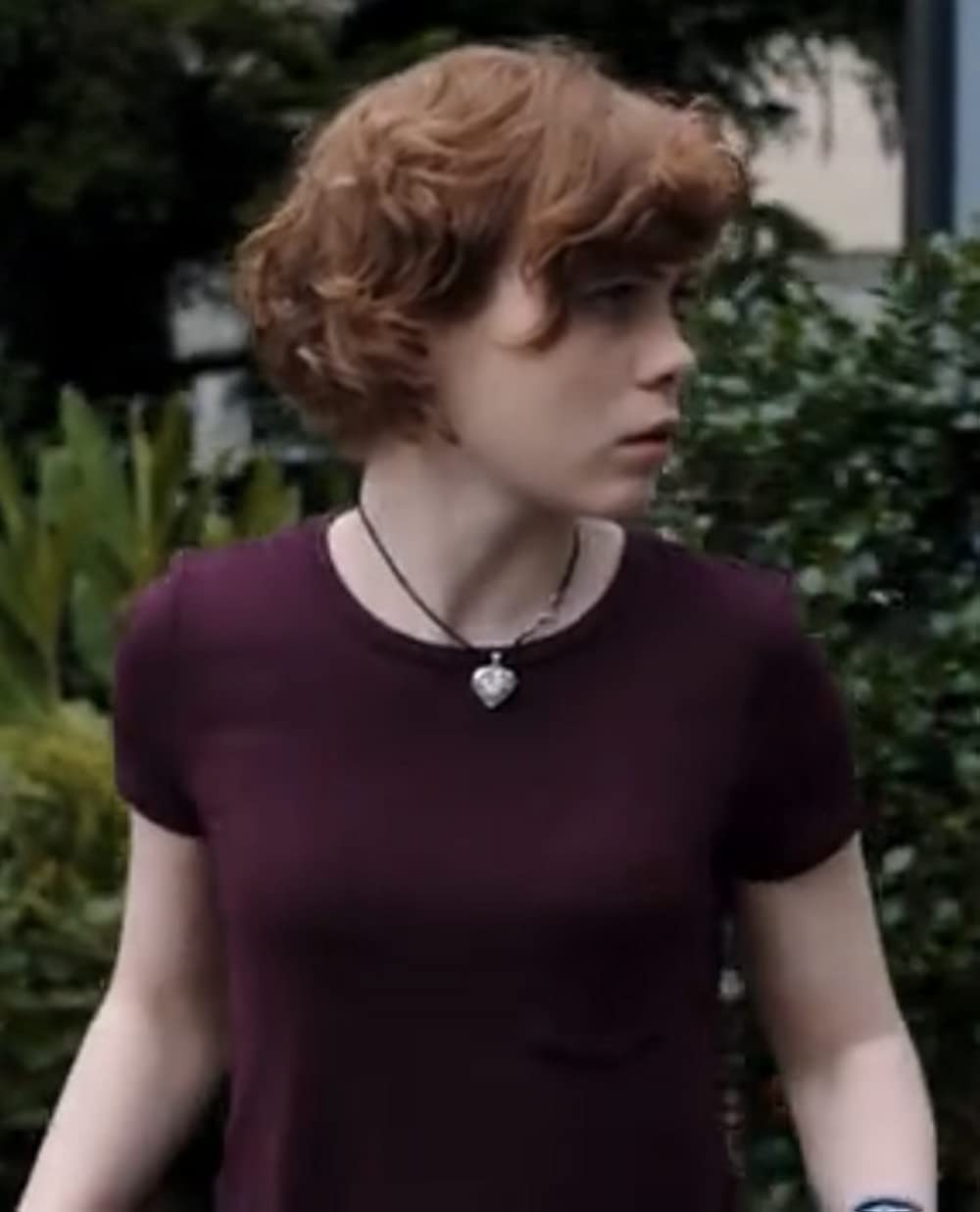 ナンシー・ドリューと秘密の階段の画像