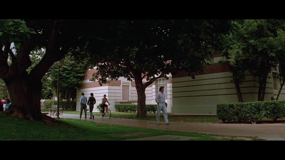 パラダイムの画像