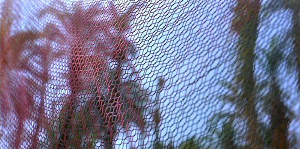 「ハイヒール」の画像