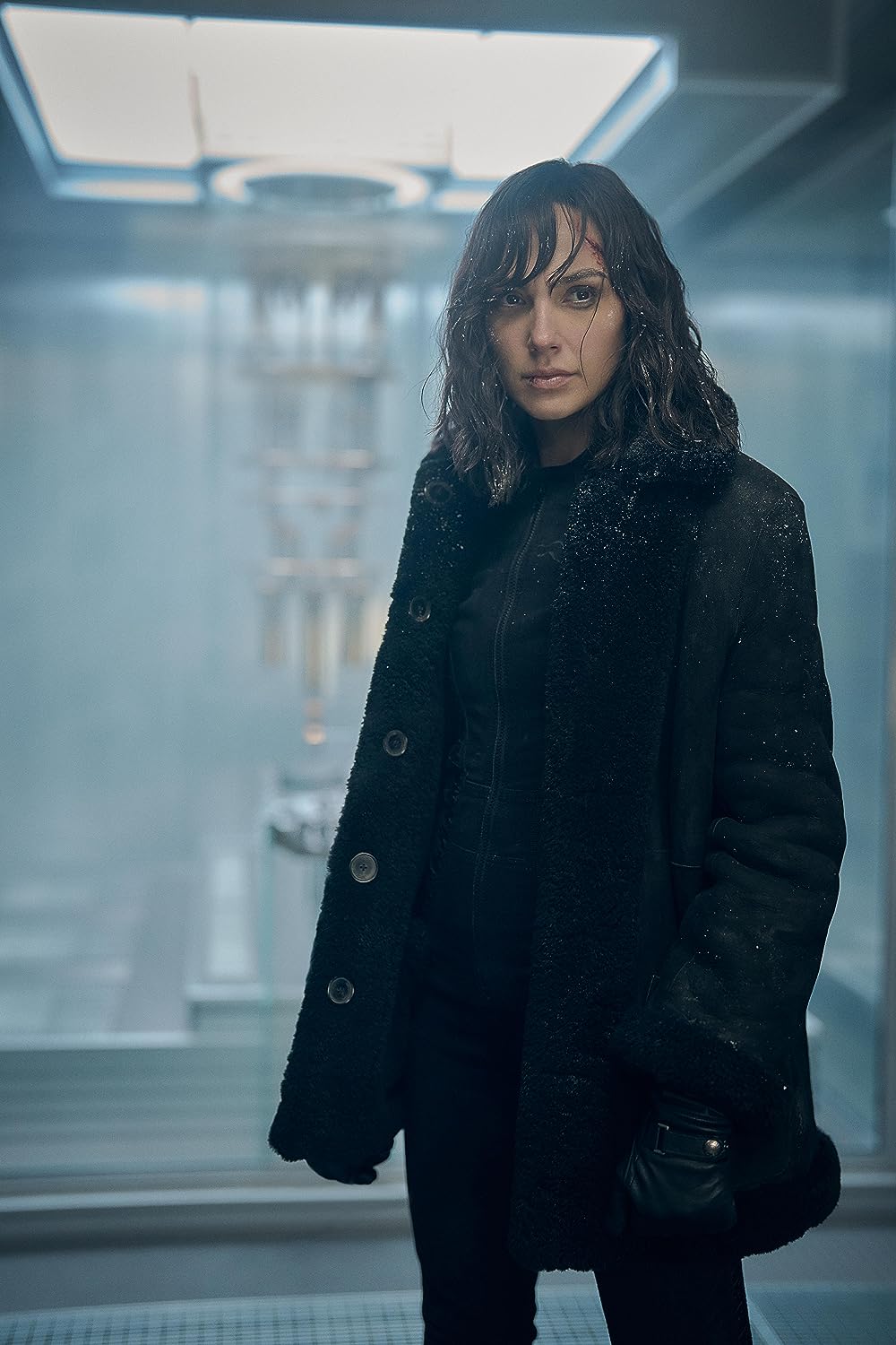 ハート・オブ・ストーンの画像