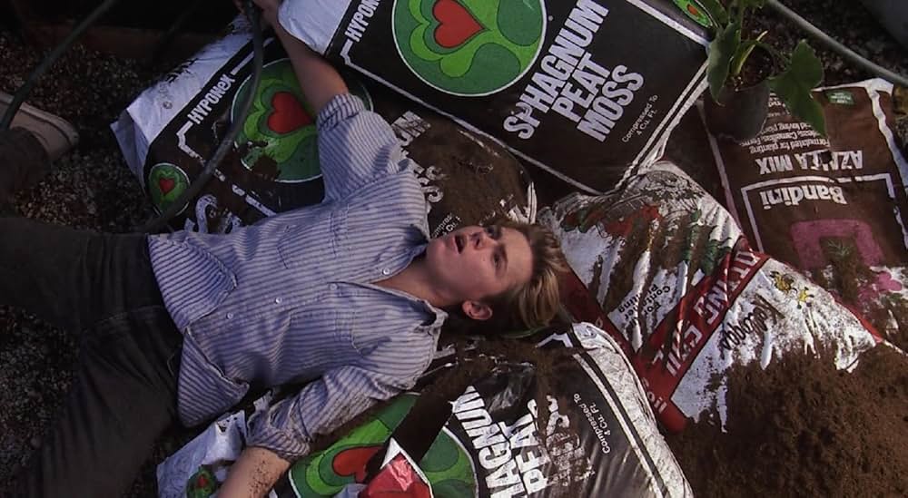 リトル・ニキータの画像