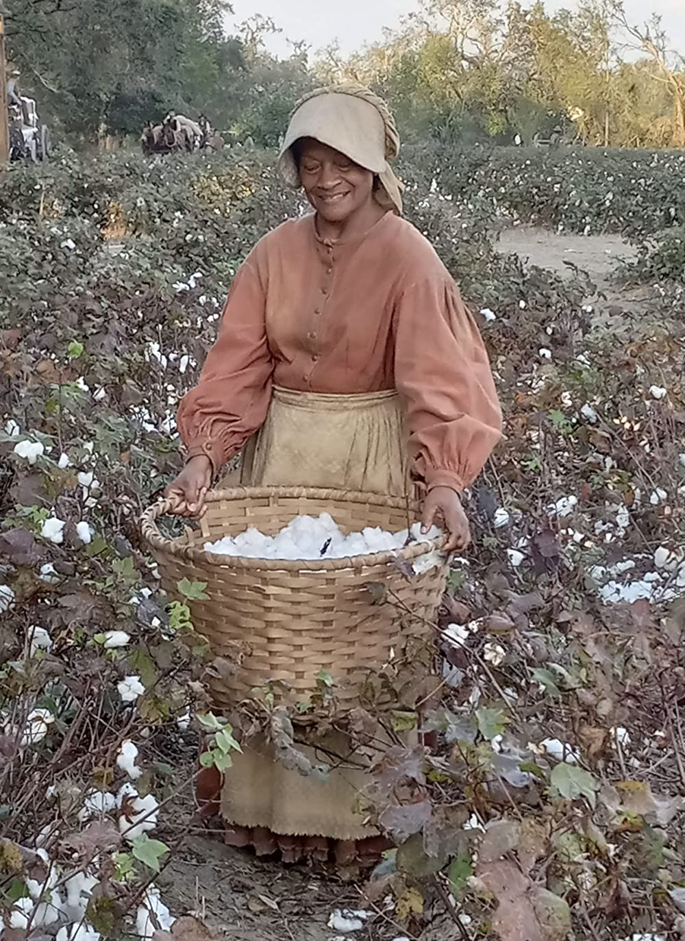 自由への道の画像