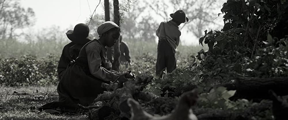自由への道の画像