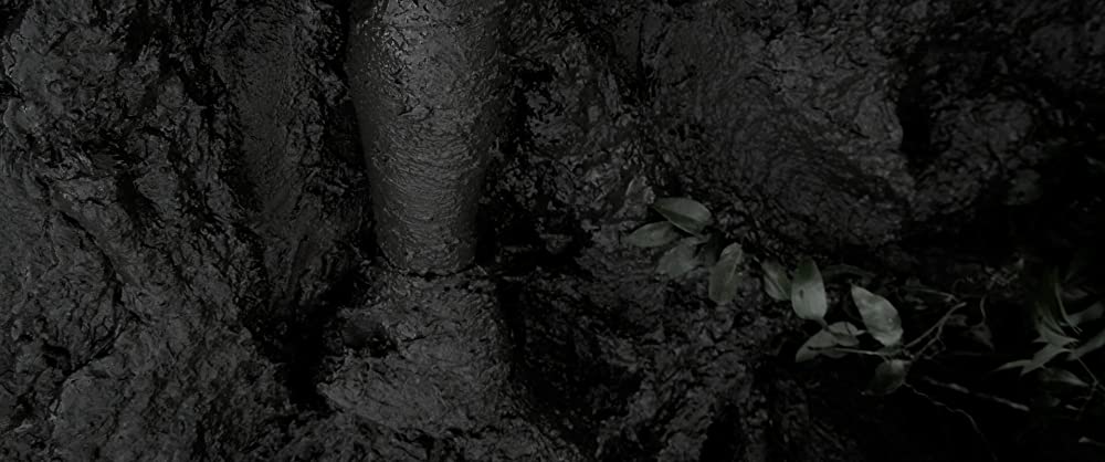 自由への道の画像