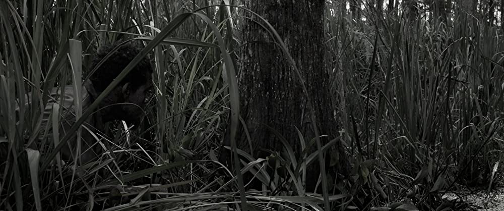 自由への道の画像