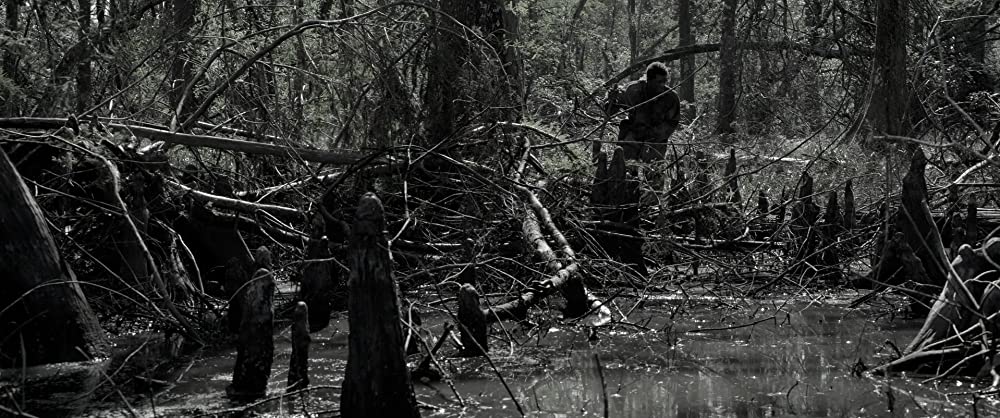 自由への道の画像