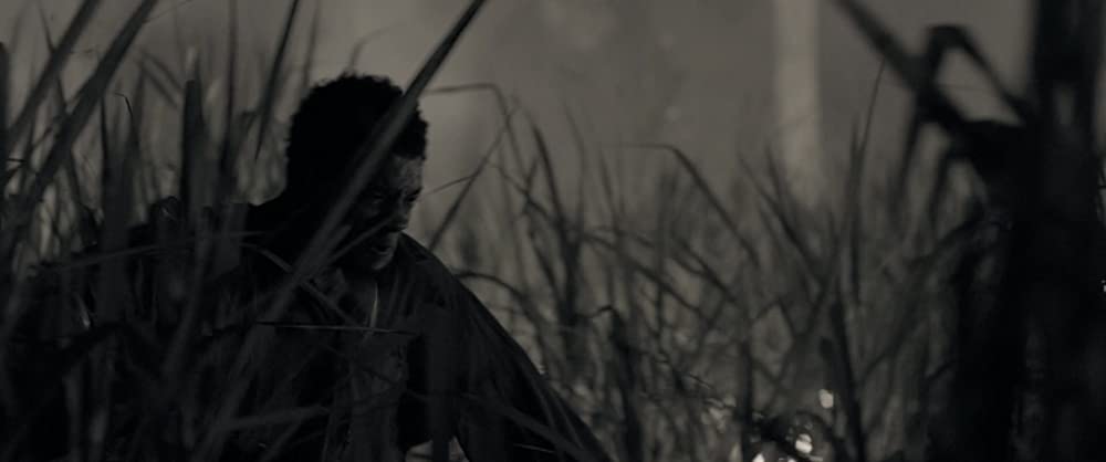 自由への道の画像