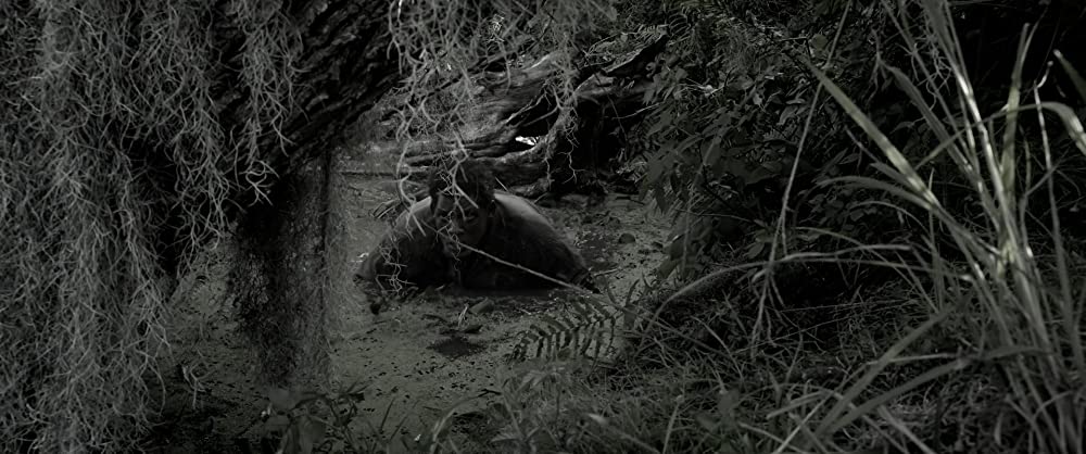 自由への道の画像