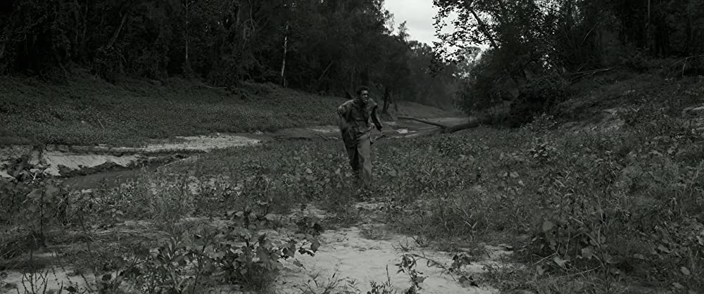 自由への道の画像