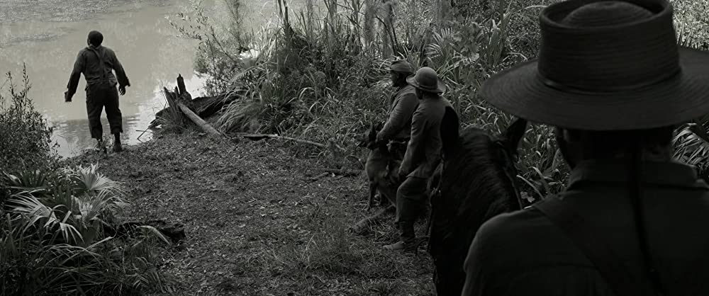 自由への道の画像