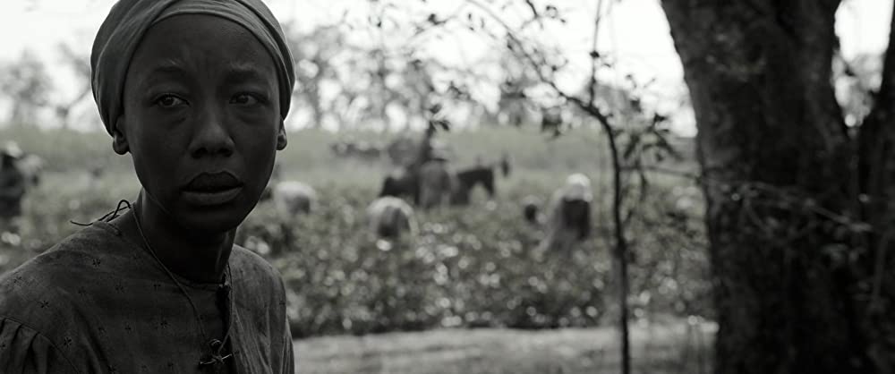 自由への道の画像