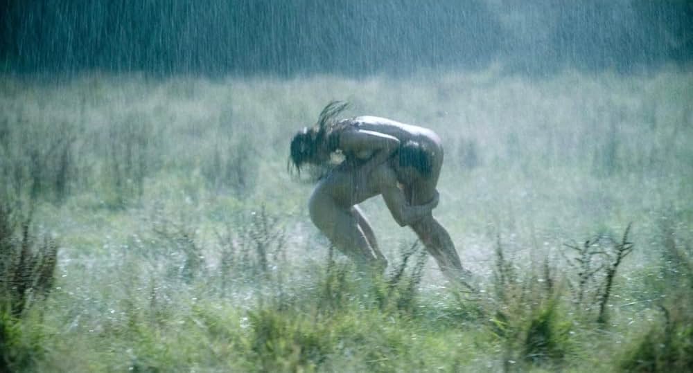 チャタレイ夫人の恋人の画像