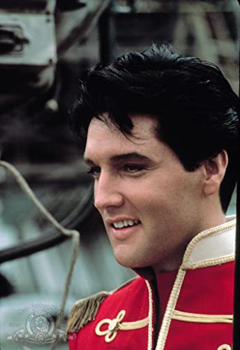 フランキーandジョニーの画像