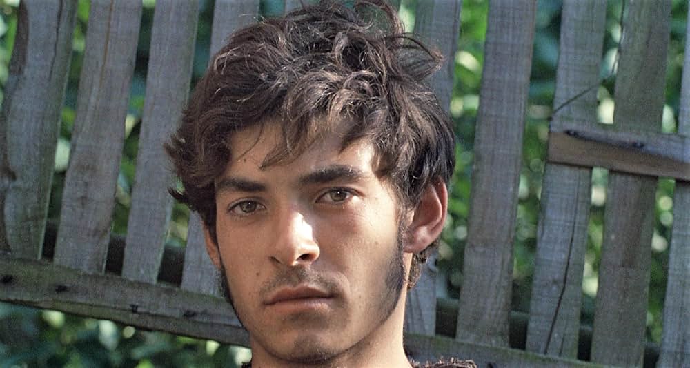 デカメロンの画像