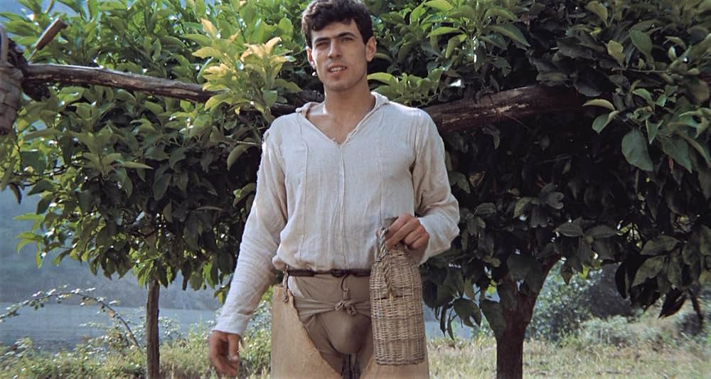 デカメロンの画像