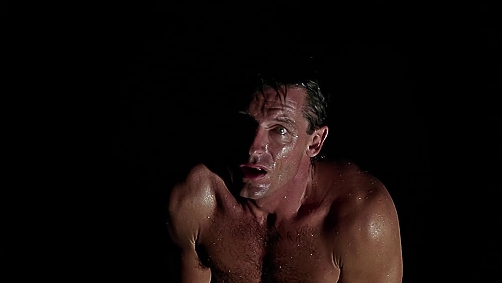 スウィッチ／素敵な彼女?の画像