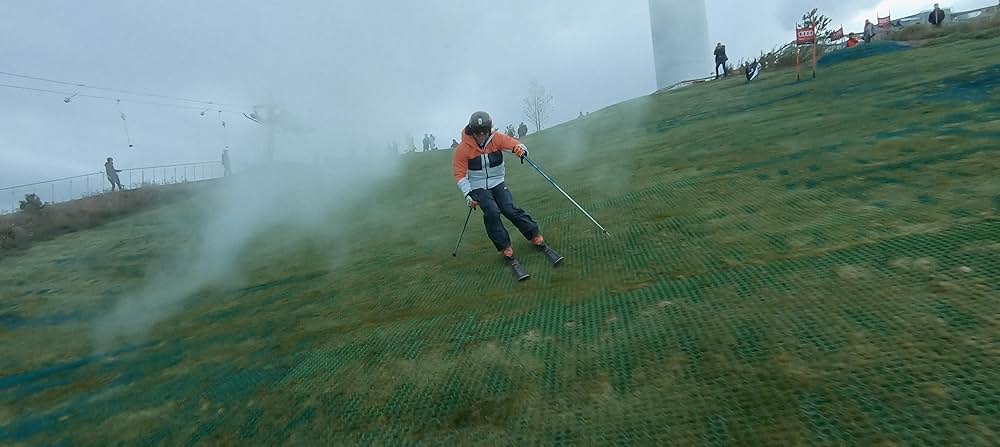 「コペンハーゲンに山を」の画像