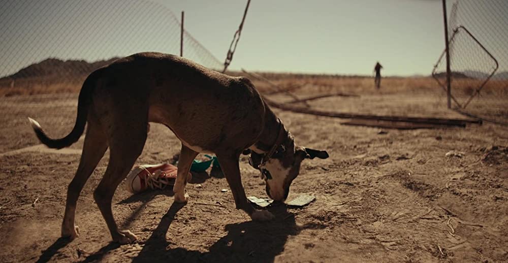 「FALL／フォール」の画像