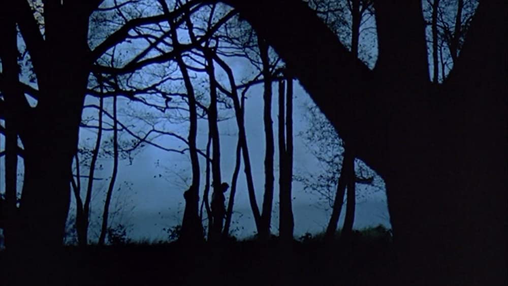 ロビン・フッドの画像