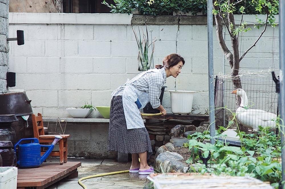 群山：鵞鳥を咏うの画像