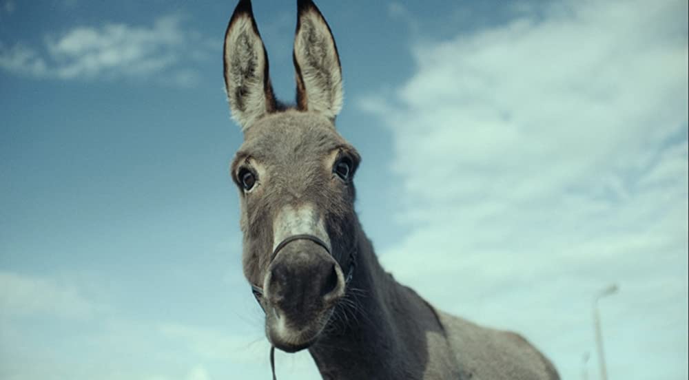 EO イーオーの画像