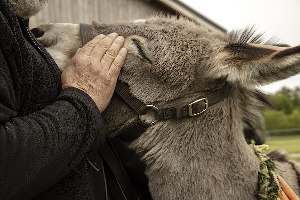EO イーオーの画像