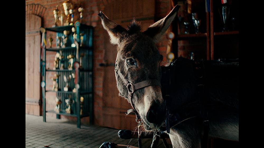 EO イーオーの画像