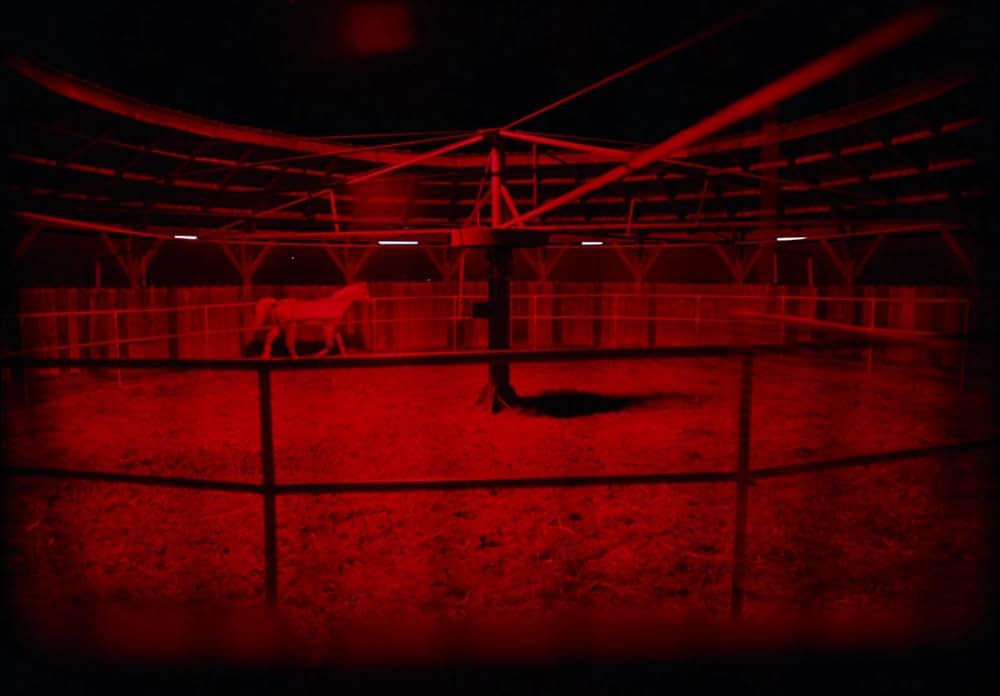 EO イーオーの画像