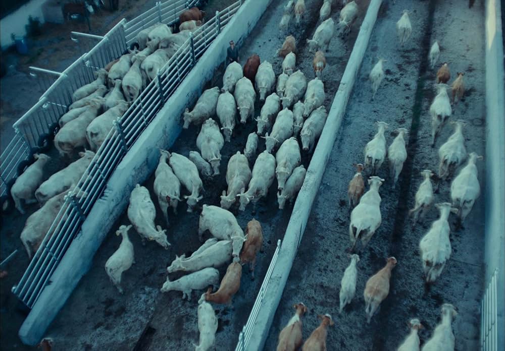 EO イーオーの画像