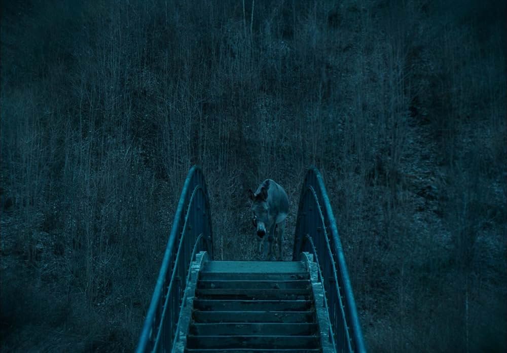 EO イーオーの画像