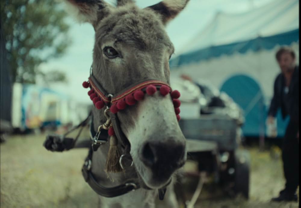 EO イーオーの画像