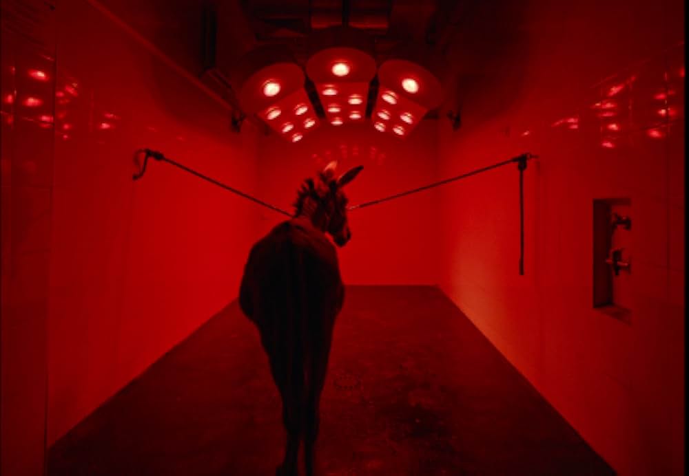 EO イーオーの画像