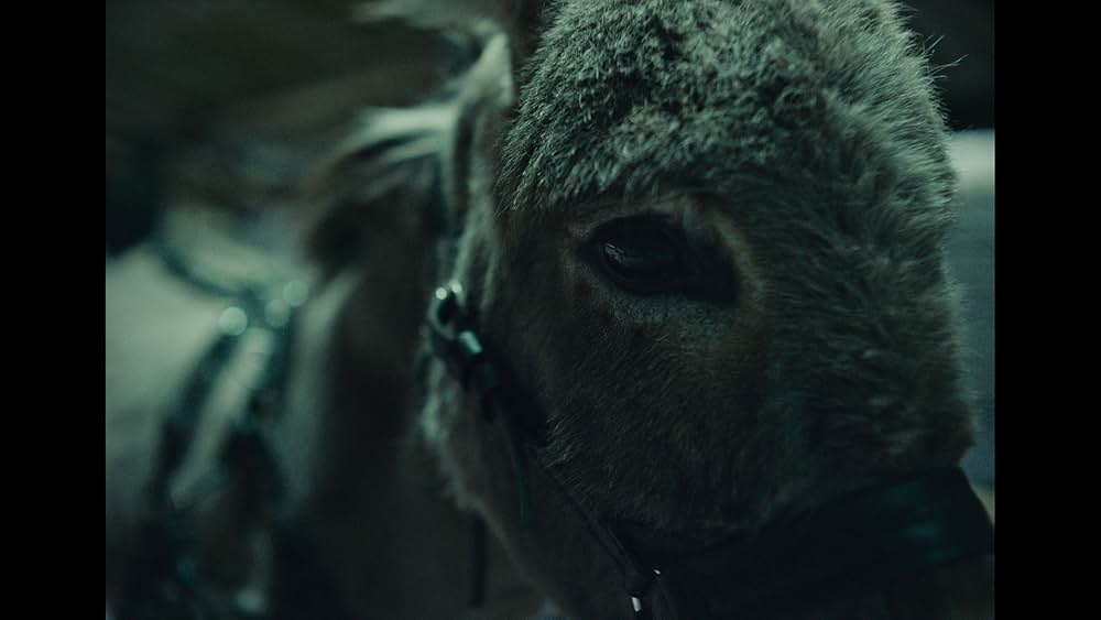 EO イーオーの画像