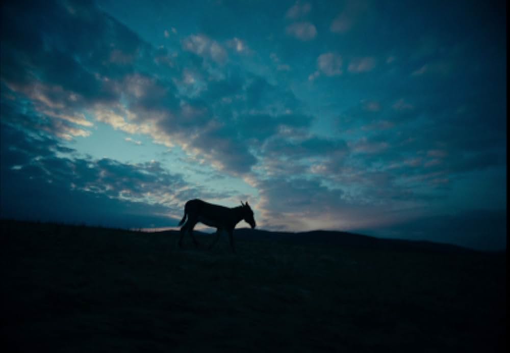 EO イーオーの画像