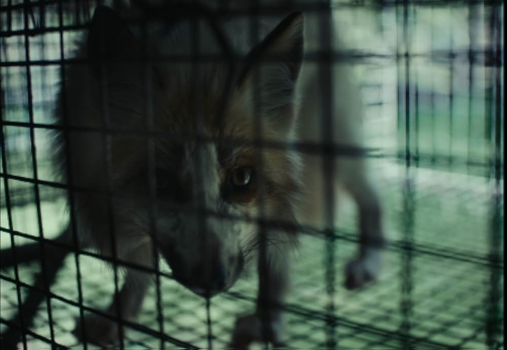 EO イーオーの画像