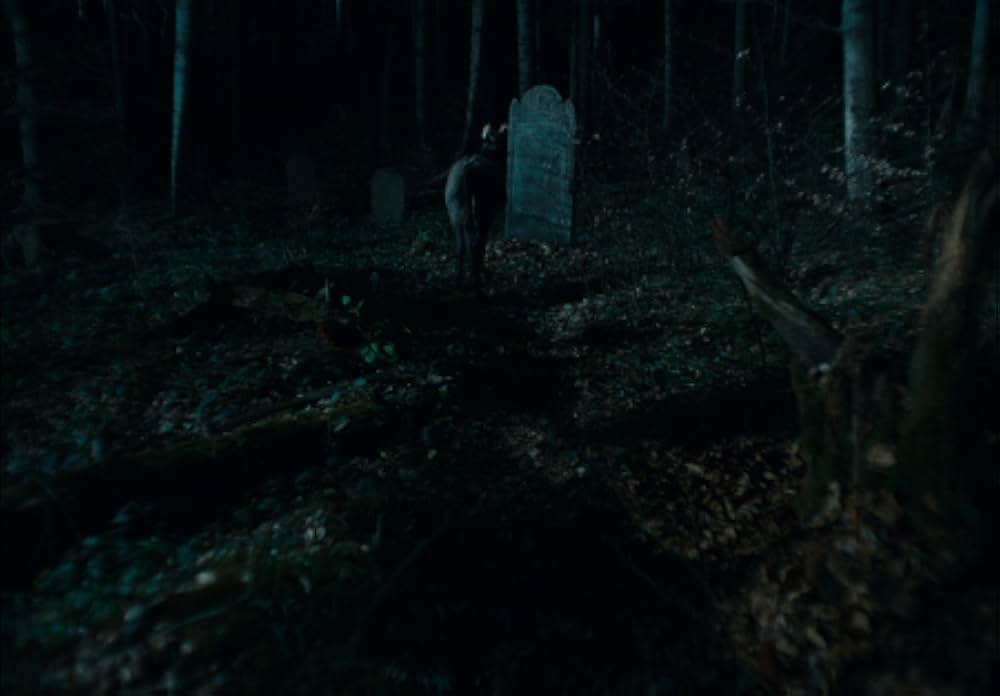 EO イーオーの画像