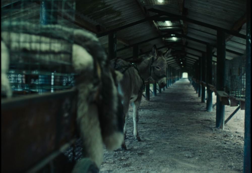 EO イーオーの画像