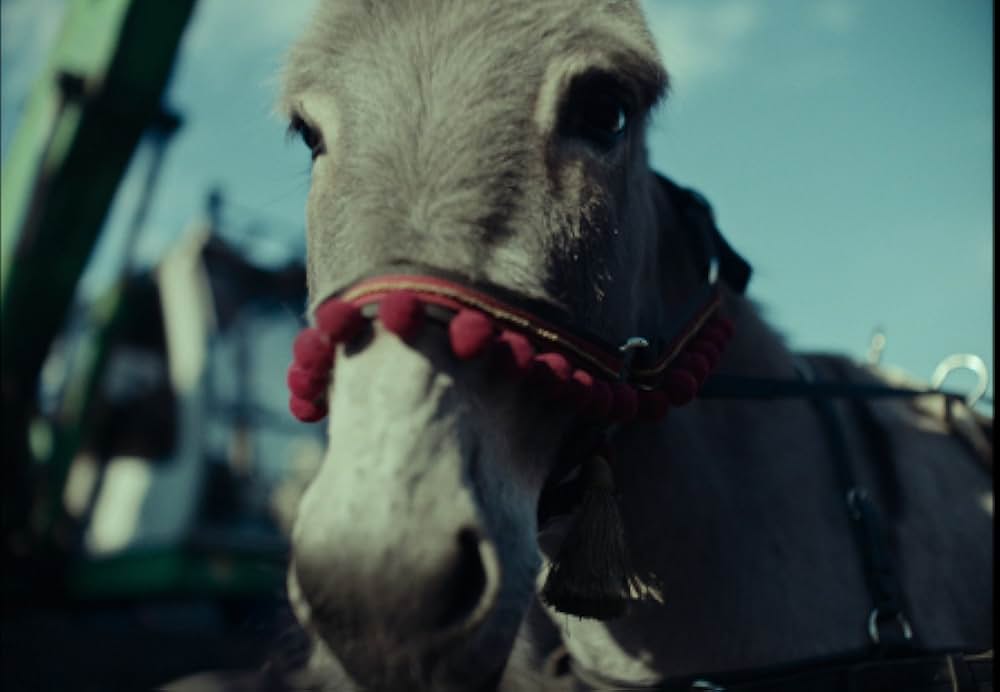 EO イーオーの画像