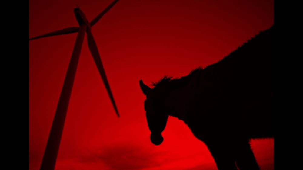 EO イーオーの画像